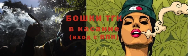 индика Абдулино