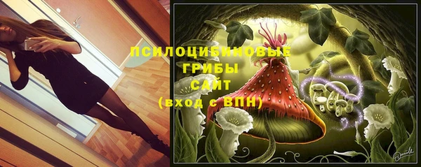 круглые Алексеевка